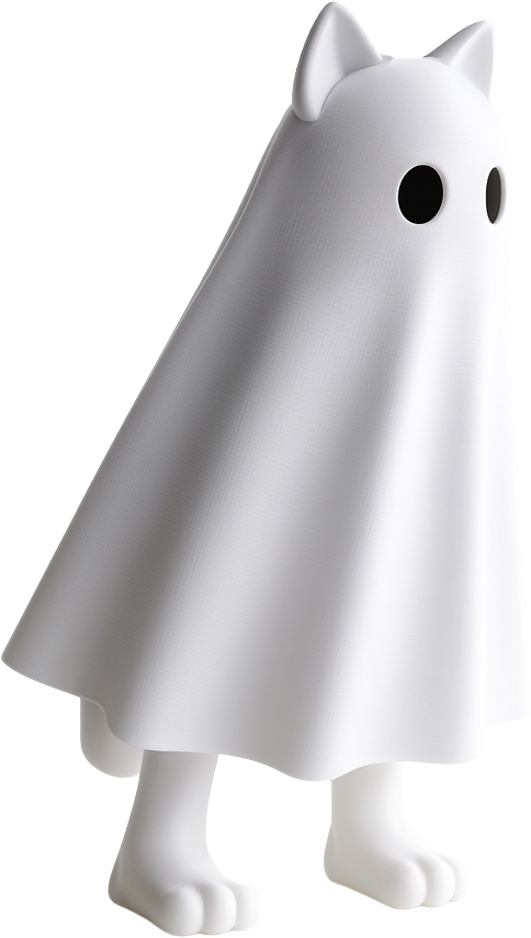 Fantasmin Cat, vista frente